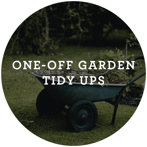 Our Services Bluebell Gardening Design Hutt Valley Wellington our-services-bluebell-gardening-design-hutt-valley-wellington